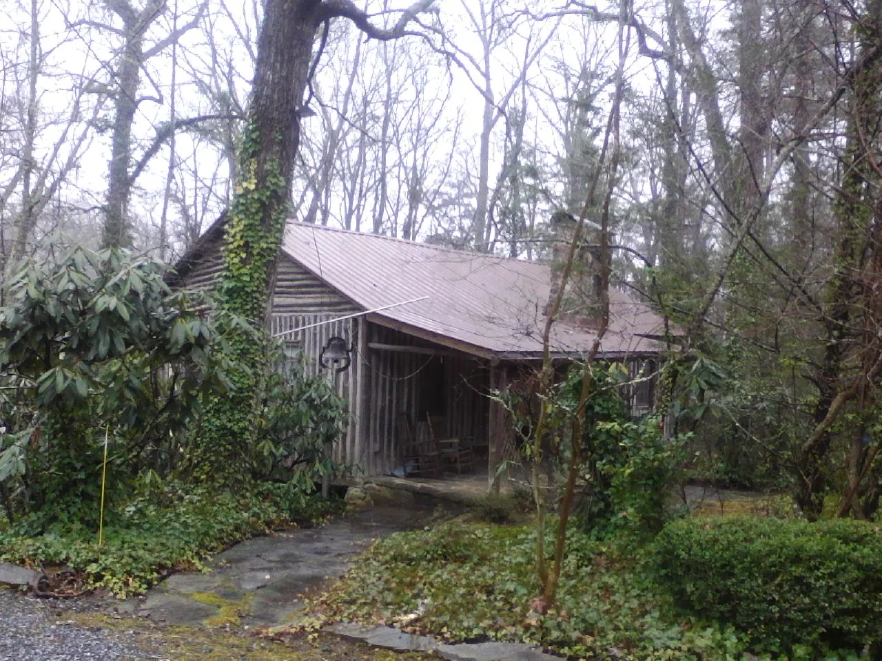 Weathered metal roof on an old board sided cabin in the woods in Montoursville